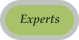 Experts